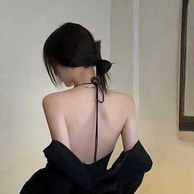 侠盗正传